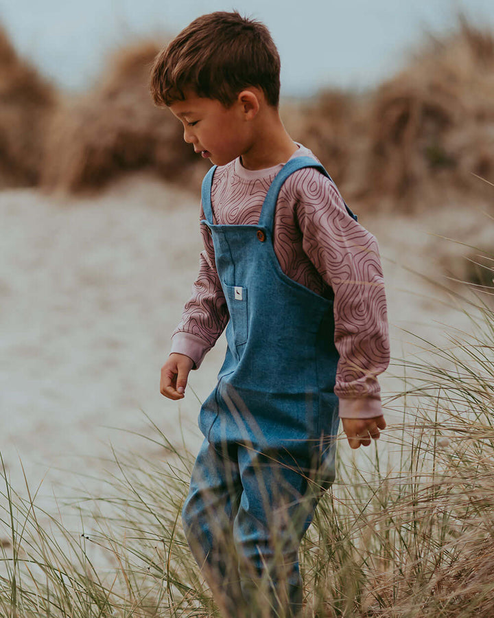 Kids Denim Blue Dungarees