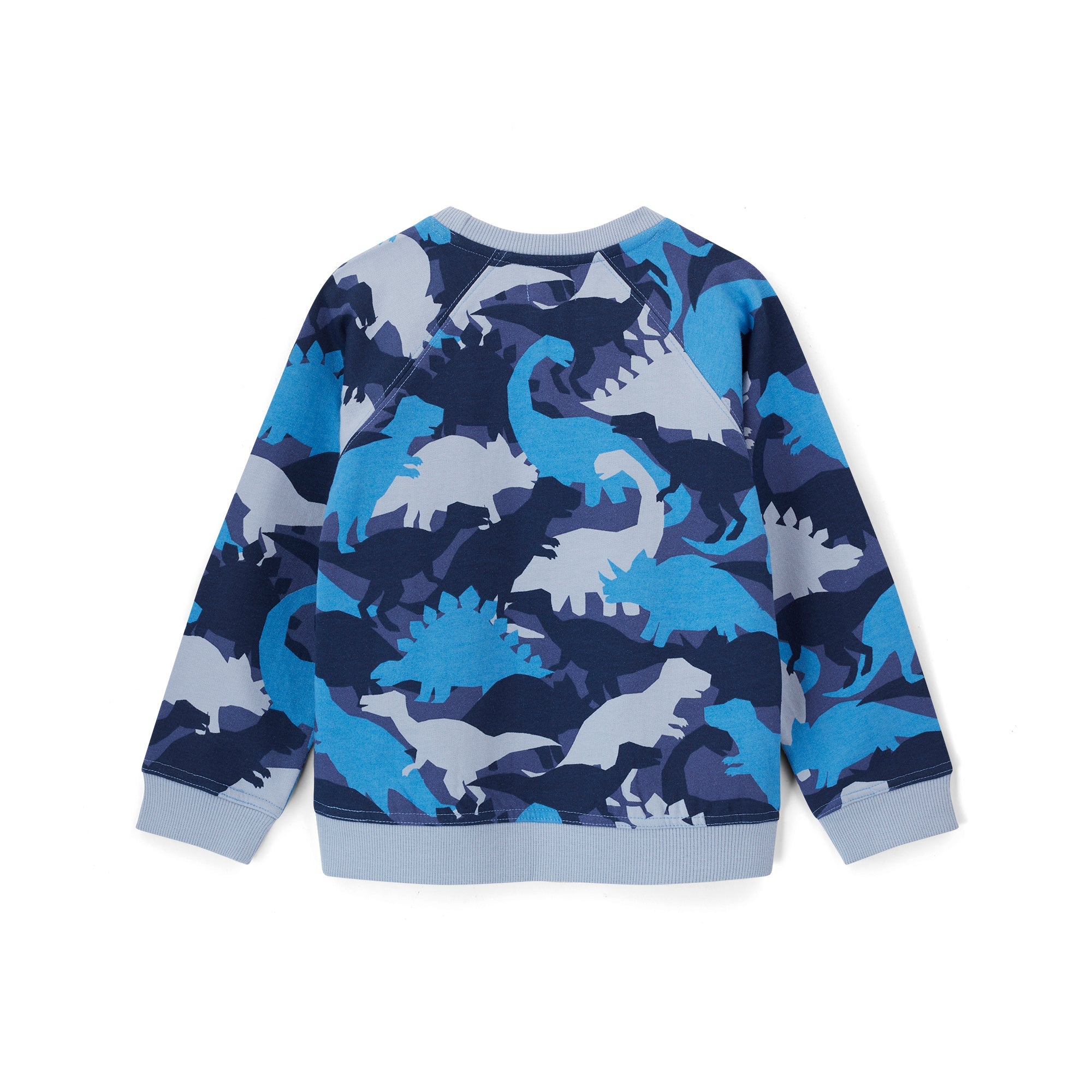Navy Camo Dinosaur Print Sweatshirt