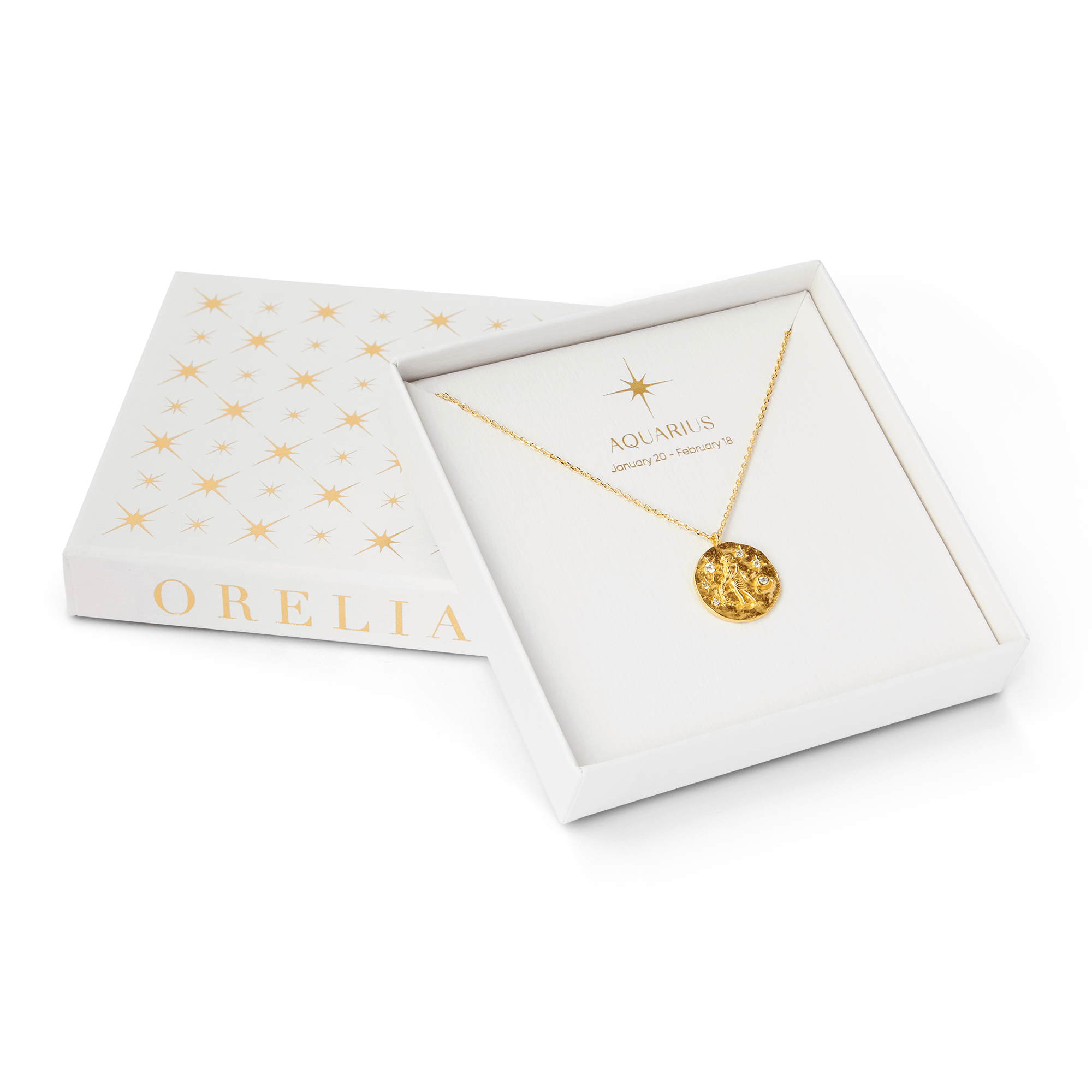 18k Gold Plated Aquarius Zodiac Necklace