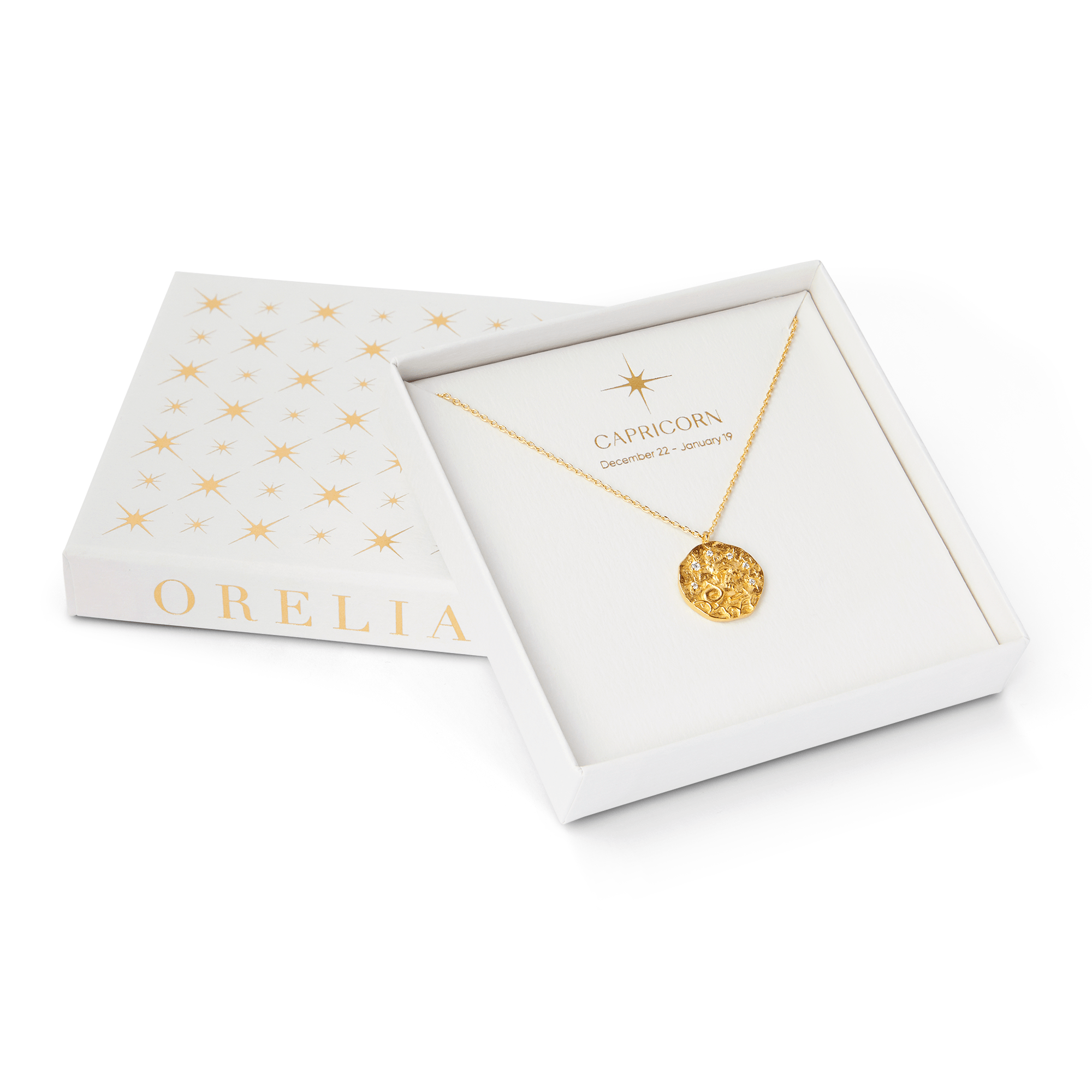 18k Gold Plated Capricorn Zodiac Necklace